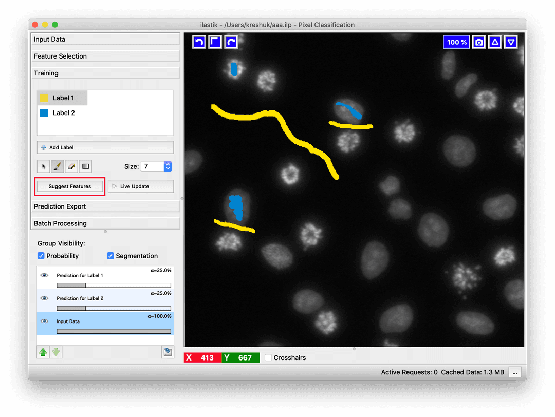 Interactive labeling and training in ilastik